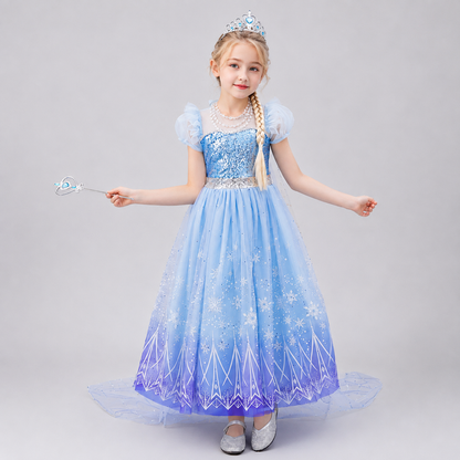 Frozen Elzas kleita grezna. Gara kleita ar apmetni